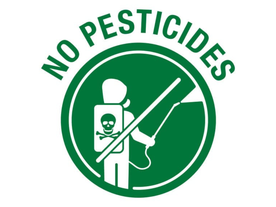 Keine Pestizide img